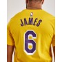 Футболка баскетбольная мужская Los Angeles Lakers Lebron James Men's Nike NBA T-Shirt (DR6380-728)