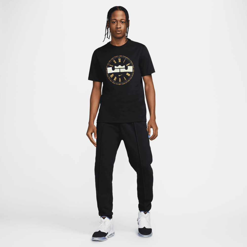 Футболка мужская баскетбольная LeBron Nike Dri-FIT Men's Basketball T-Shirt (DZ2702-010)