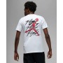 Футболка Jordan Men's Graphic T-Shirt (FB7465-100)