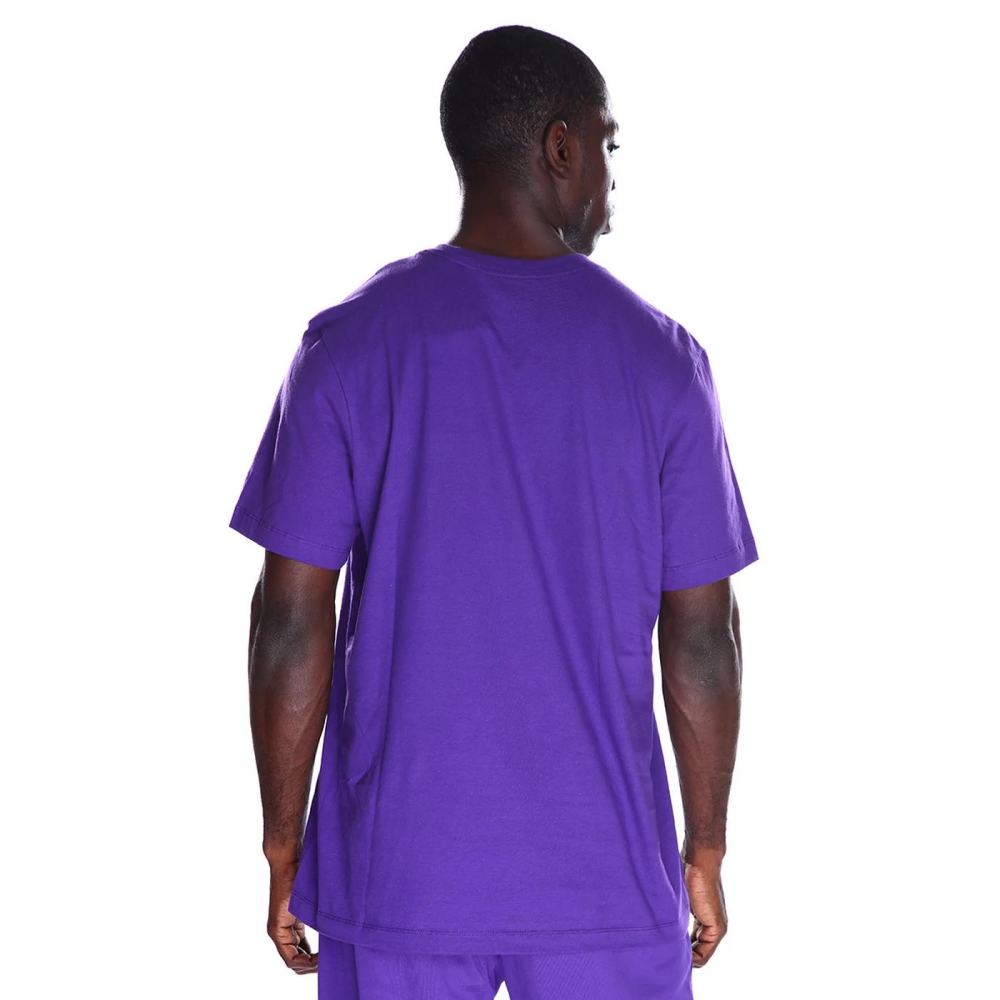 Футболка баскетбольная мужская Los Angeles Lakers Essential Men's Jordan NBA T-Shirt (FB9827-504)