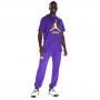 Футболка баскетбольная мужская Los Angeles Lakers Essential Men's Jordan NBA T-Shirt (FB9827-504)
