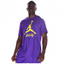 Футболка баскетбольная мужская Los Angeles Lakers Essential Men's Jordan NBA T-Shirt (FB9827-504)