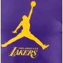 Футболка баскетбольная мужская Los Angeles Lakers Essential Men's Jordan NBA T-Shirt (FB9827-504)