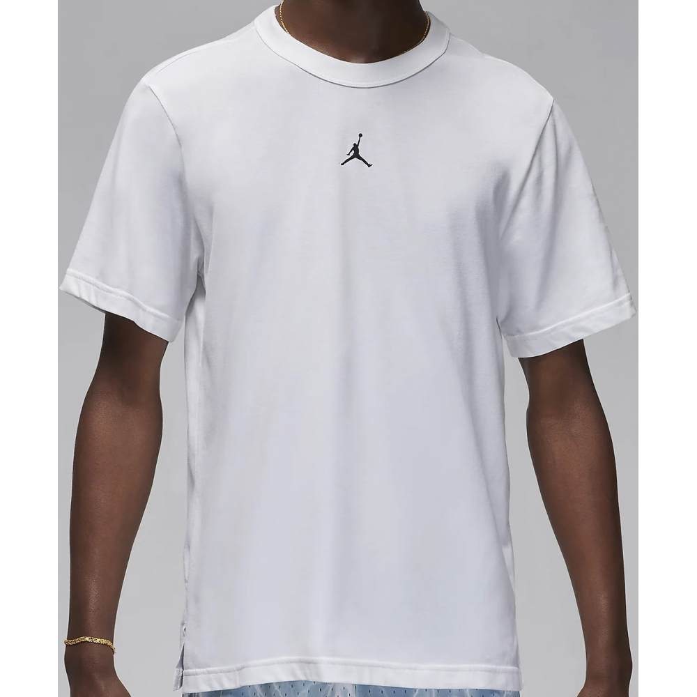 Футболка спортивная мужкая Jordan Dri-Fit Sport Performance размер L (FN5829-100)