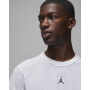 Футболка спортивная мужкая Jordan Dri-Fit Sport Performance размер L (FN5829-100)