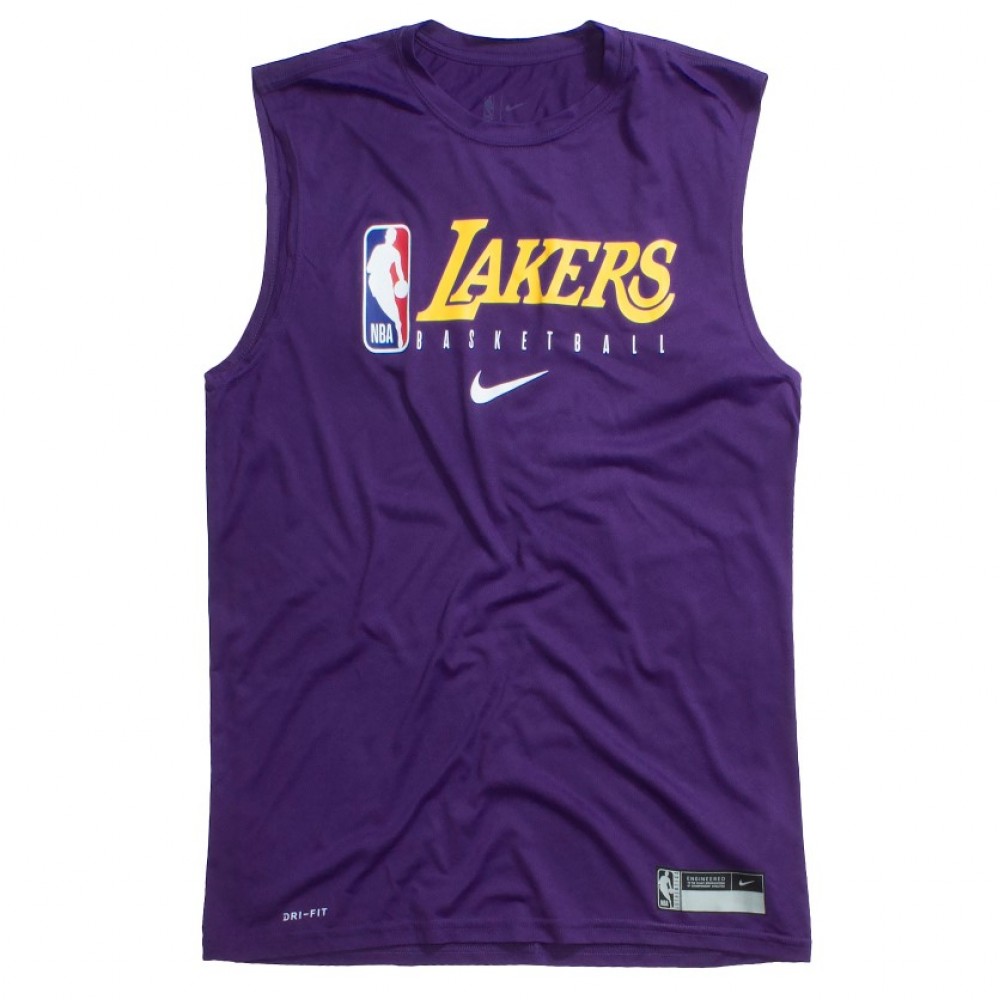 Майка баскетбольная мужская Nike Los Angeles Lakers размер XL (AT0628-547)