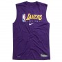 Майка баскетбольная мужская Nike Los Angeles Lakers размер XL (AT0628-547)