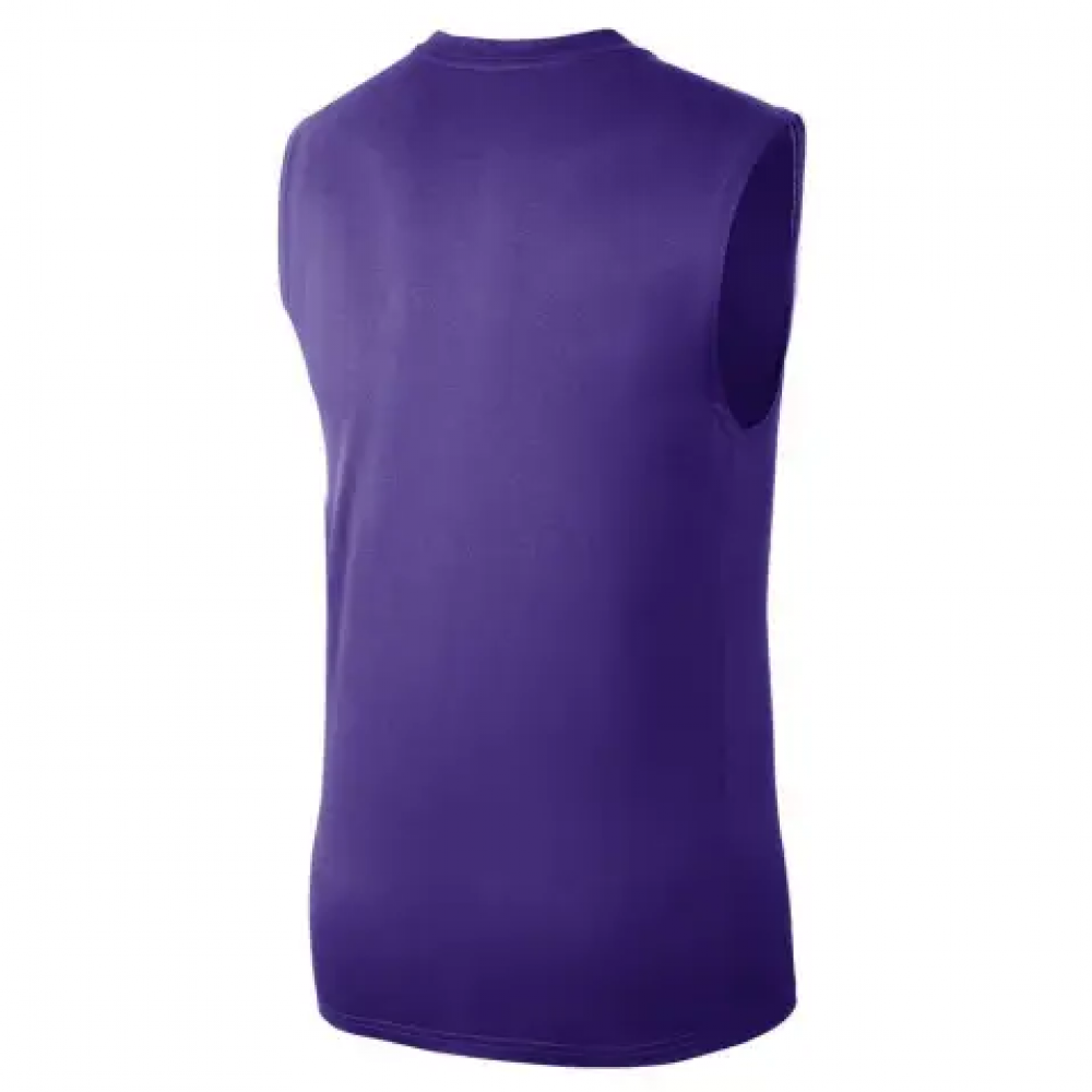 Майка баскетбольная Nike NBA Los Angeles Lakers Essential Tank Top (FQ1978-504)