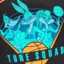 Мяч баскетбольный Spalding Space Jam Tune Squad Roster BasketBall размер 7 резиновый для улицы-зала (84540Z)