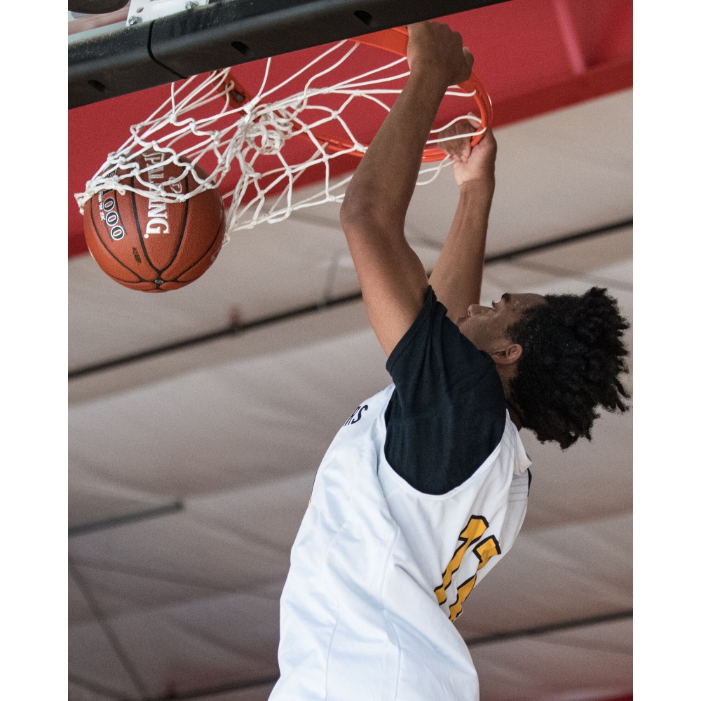 Мяч баскетбольный Spalding TF-1000 Platinum ZK Indoor Game Basketball размер 7 композитная кожа (76105Е)