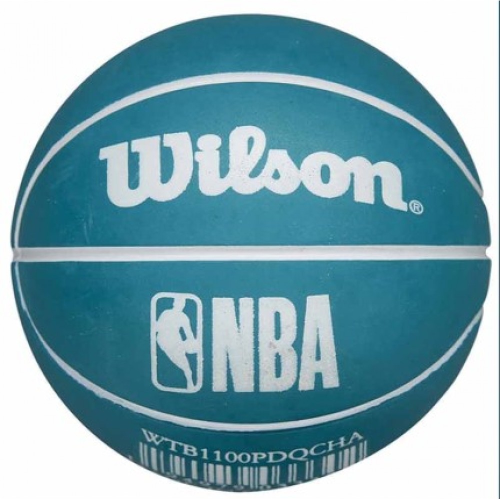 Мини-мяч баскетбольный Wilson NBA Dribbler Charlotte Hornets 6 см (WTB1100PDQCHA)