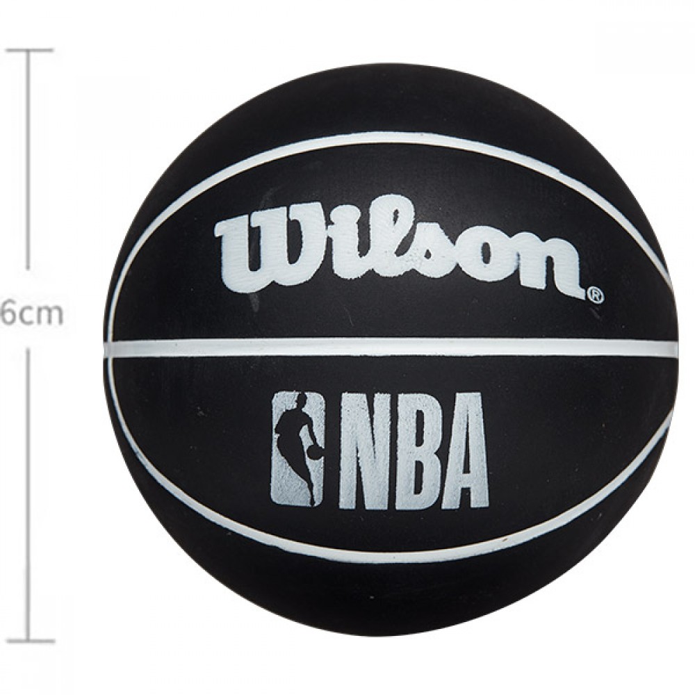 Мини-мяч баскетбольный для дриблинга Wilson NBA Dribbler 6 см (WTB1100PDQNBA)