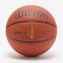 Мяч баскетбольный Wilson NBA Team Alliance Composite Cleveland Cavalies размер 7 композитная кожа (WTB3100XBCLE)