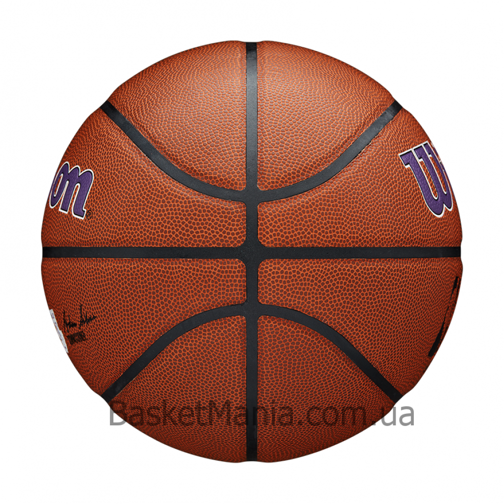 Мяч баскетбольный Wilson NBA Team Composite Los Angeles Lakers размер 7 композитная кожа (WTB3100XBLAL)
