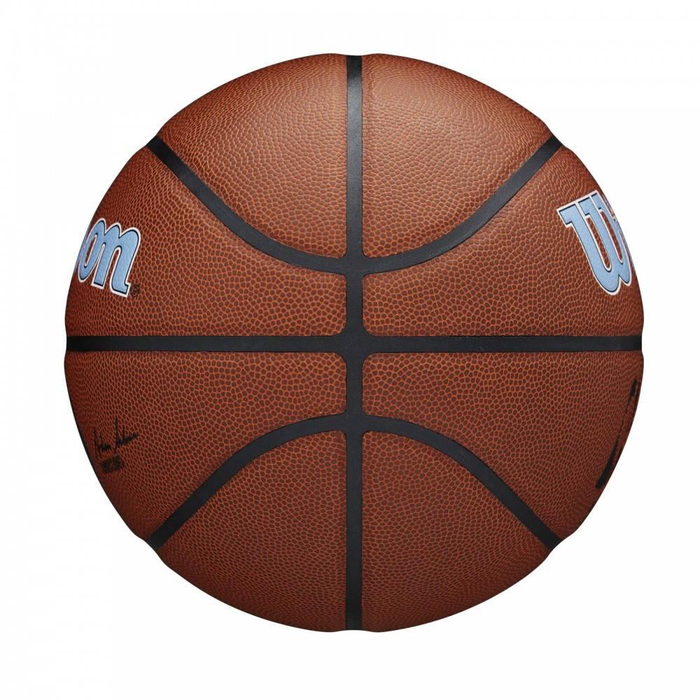 Мяч баскетбольный Wilson NBA Team Alliance Composite Memphis Grizzlies размер 7 композитная кожа (WTB3100XBMEM)