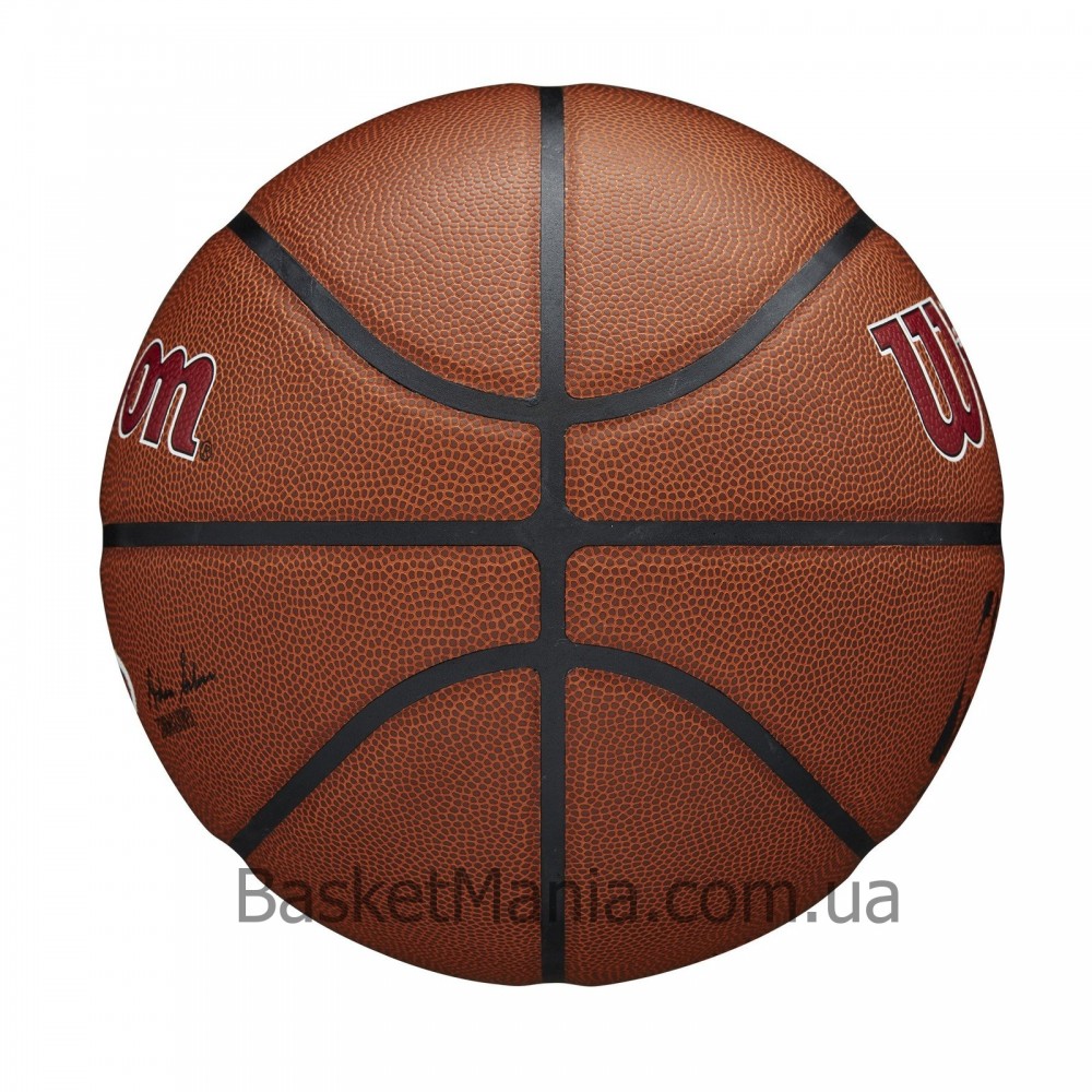 Мяч баскетбольный Wilson NBA Team Composite Miami Heat размер 7 композитная кожа (WTB3100XBMIA)