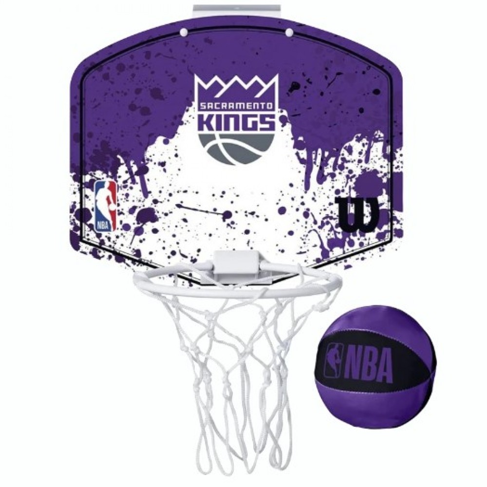 Мини-щит баскетбольный Wilson NBA Team Mini Hoop Sacramento Kings (WTBA1302SAC)