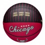 Мяч баскетбольный Wilson NBA Team City Collector Chicago Bulls размер 7 композитная кожа (WZ4003905XB7)