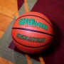 Мяч баскетбольный Wilson Evolution размер 7 композитная кожа коричневый (WTB0595XB0701)