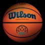 Мяч баскетбольный профессиональный Wilson Evo NXT Champions League размер 7 композитная кожа (WTB0900XBBCL)