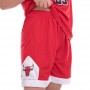 Форма баскетбольная детская Basketball Unifrom Bulls 23 (5351) Форма баскетбольная детская Basketball Unifrom Bulls 23 (5351)