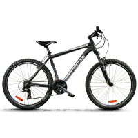 Children's bikes, new arrivals 2019